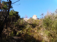 Camera_20121104_140503_.jpg