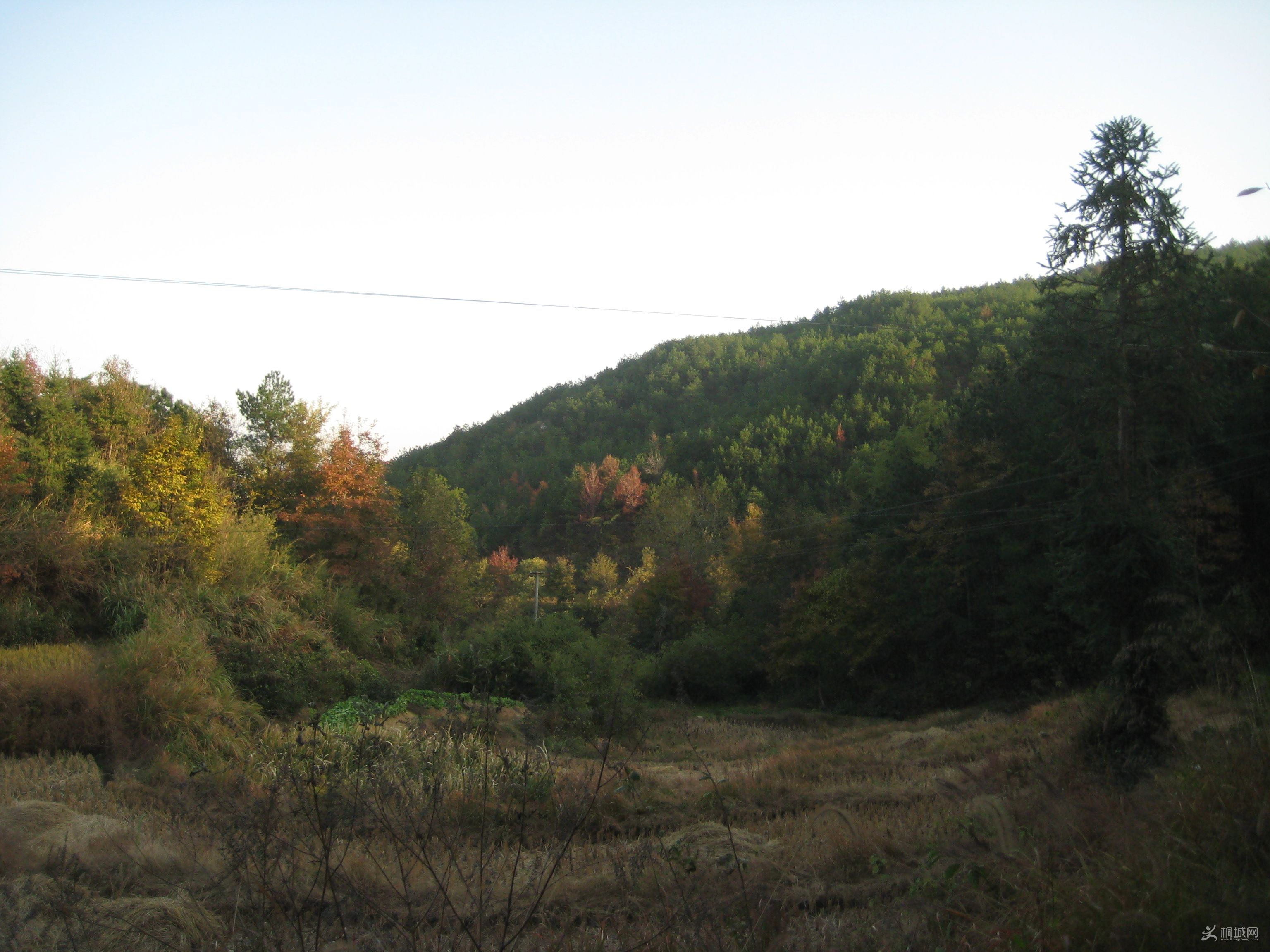 IMG_5523.JPG