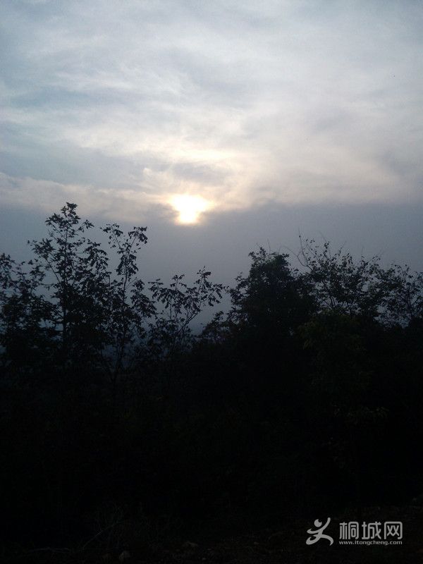 WP_000501_.jpg
