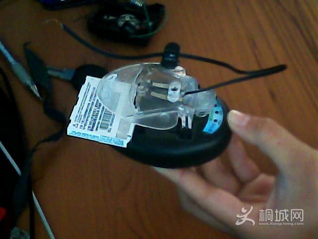 ͼƬ 010.jpg
