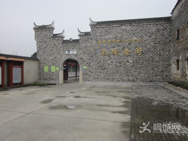 IMG_1788.jpg