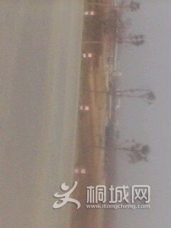 IMG0143A.jpg