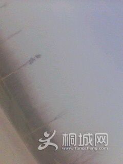 IMG0144A.jpg