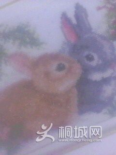 IMG0154A.jpg