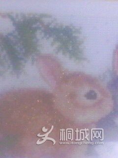 IMG0156A.jpg