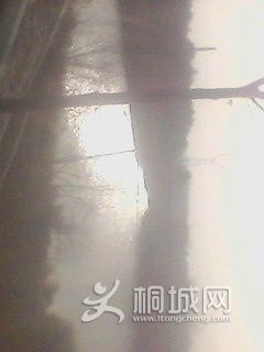 IMG0146A.jpg