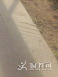 IMG0145A.jpg