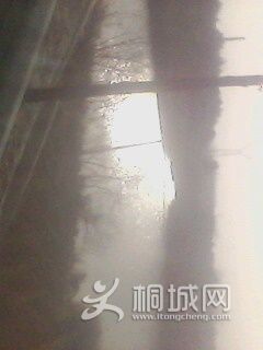 IMG0147A.jpg