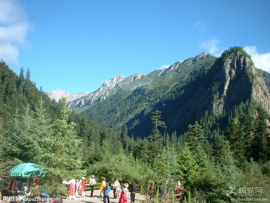 4525914_093315062069_2.jpg
