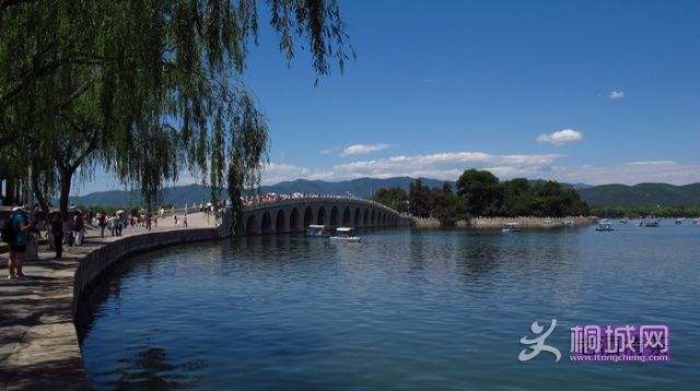 u86337791_138c02d858cg214_blog.jpg