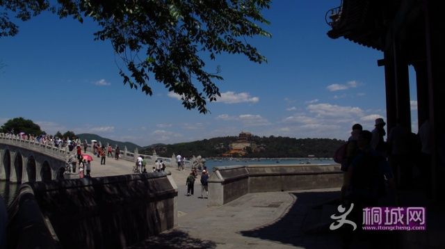u86337791_138c02d2222g213_blog.jpg