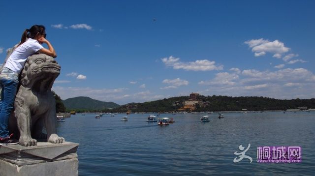 u86337791_138c02d85dbg215_blog.jpg
