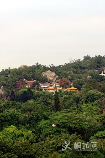 ﳯ1.jpg