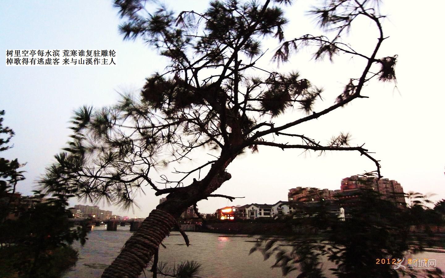 R1515700.JPG