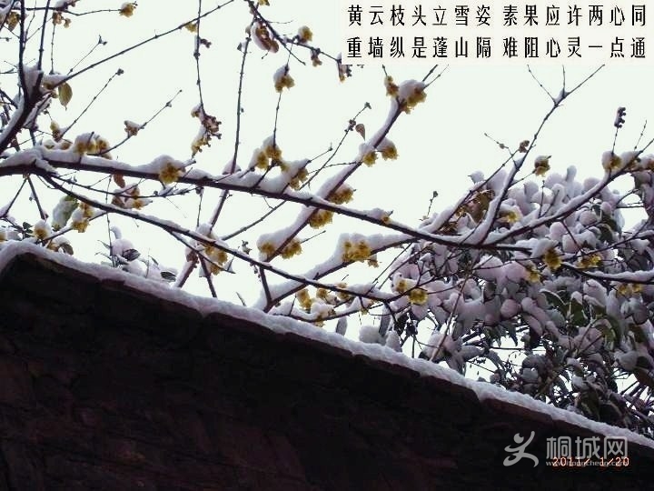 RIMG0229.JPG