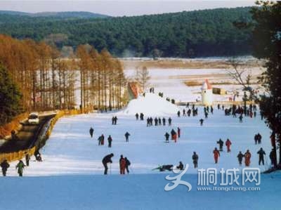 2008129165116763.jpg