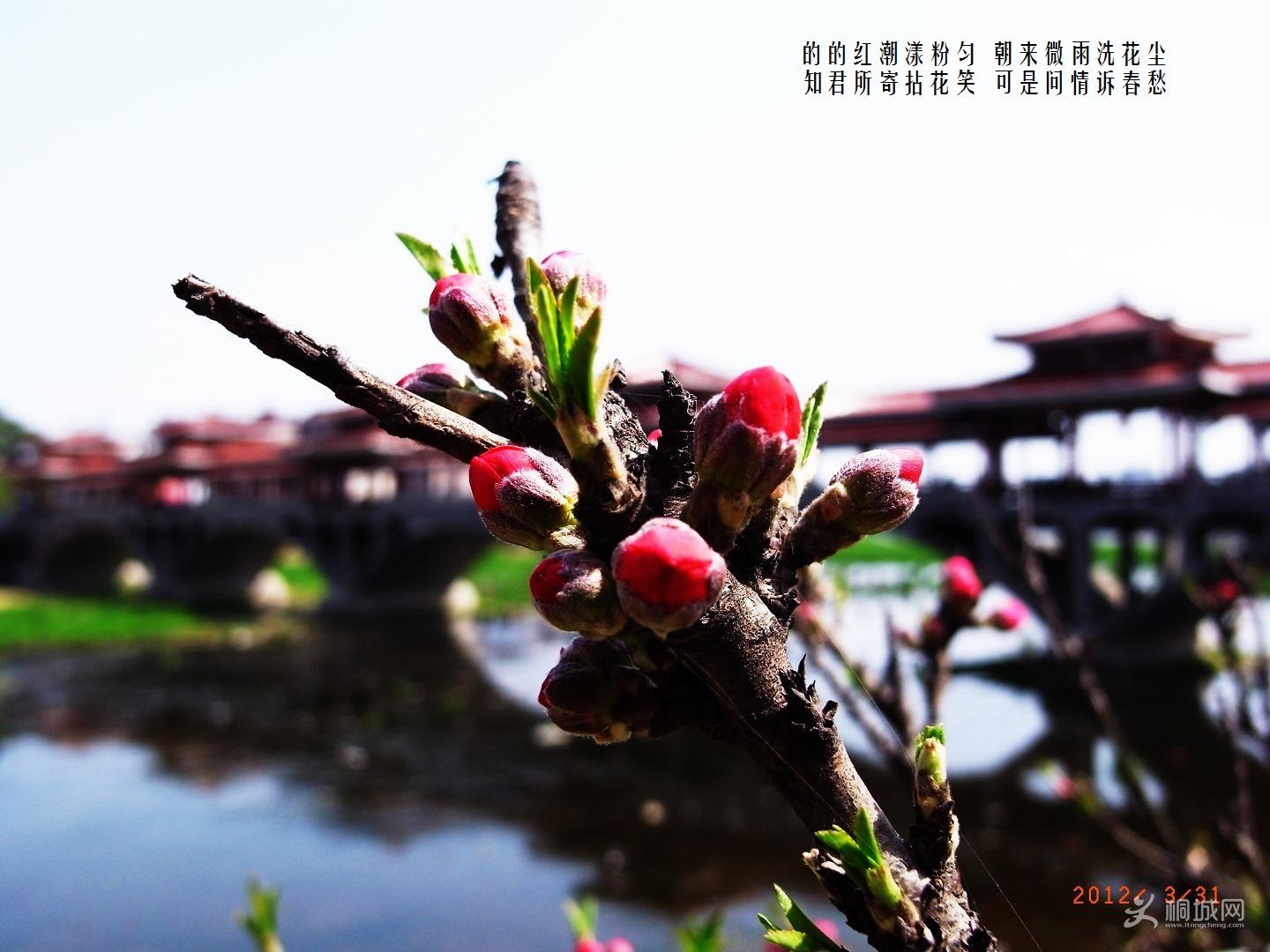 R1514064.JPG