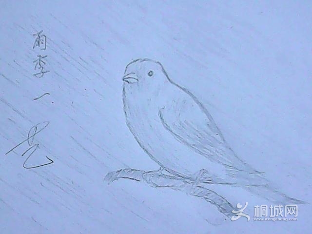 ͼƬ 003.jpg