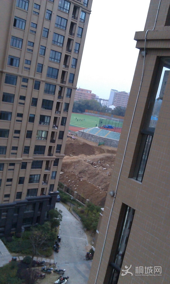 IMAG0416.jpg
