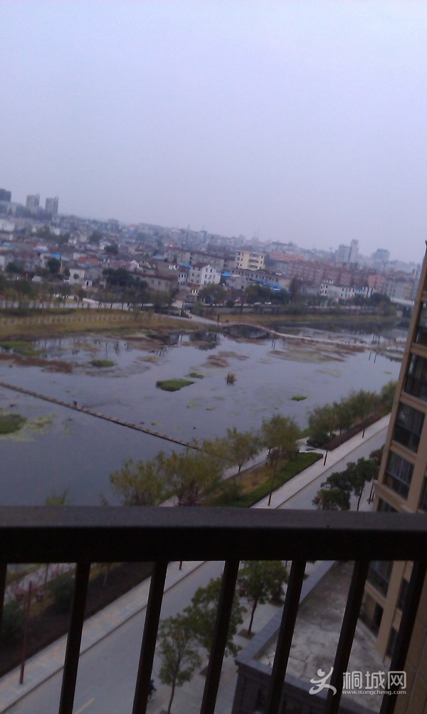 IMAG0417.jpg