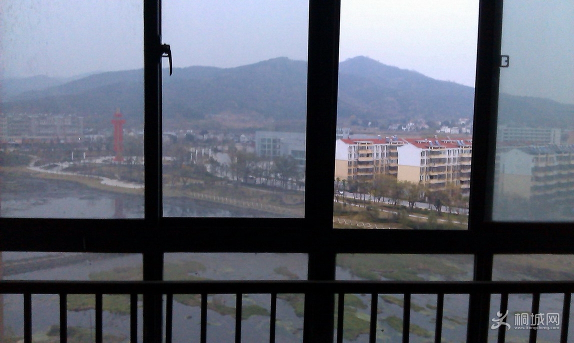 IMAG0424.jpg