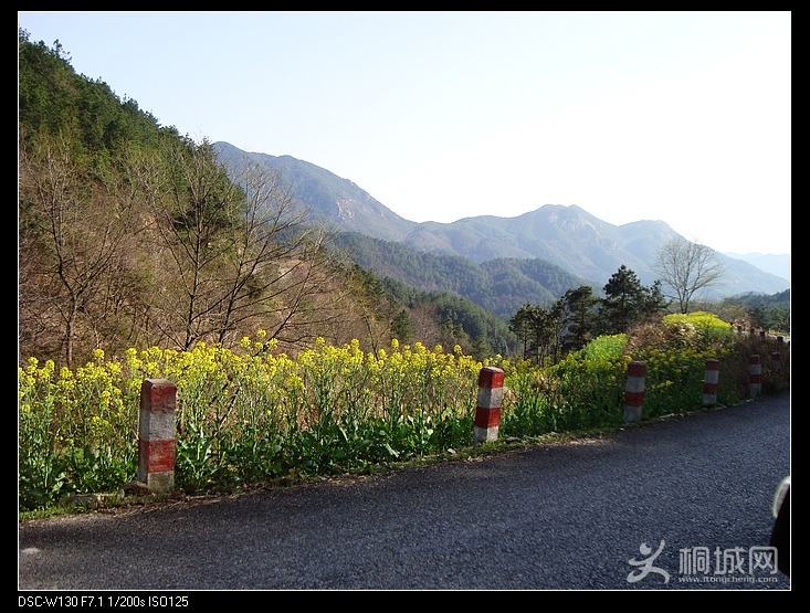 nEO_IMG_DSC03620.jpg