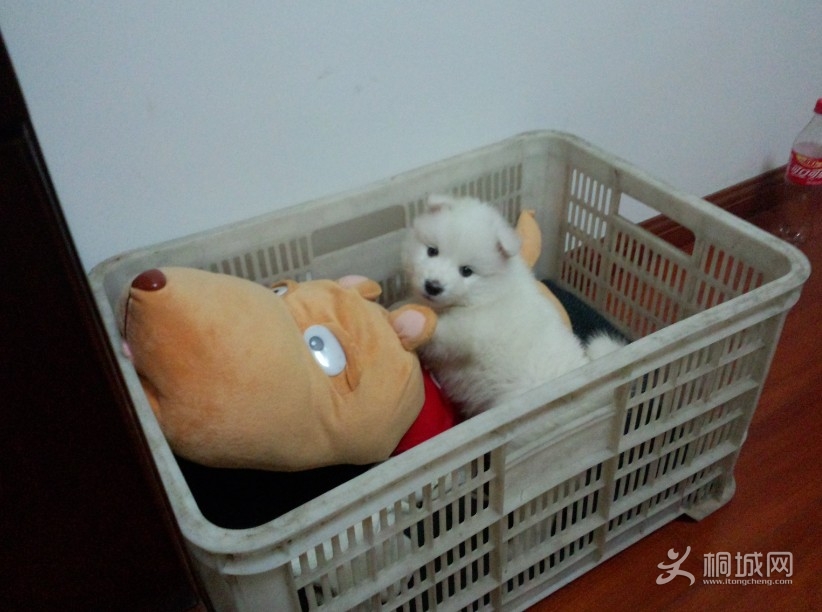QQͼ20130316182801.jpg