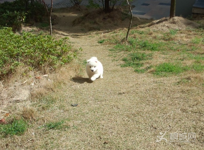 QQͼ20130316182844.jpg
