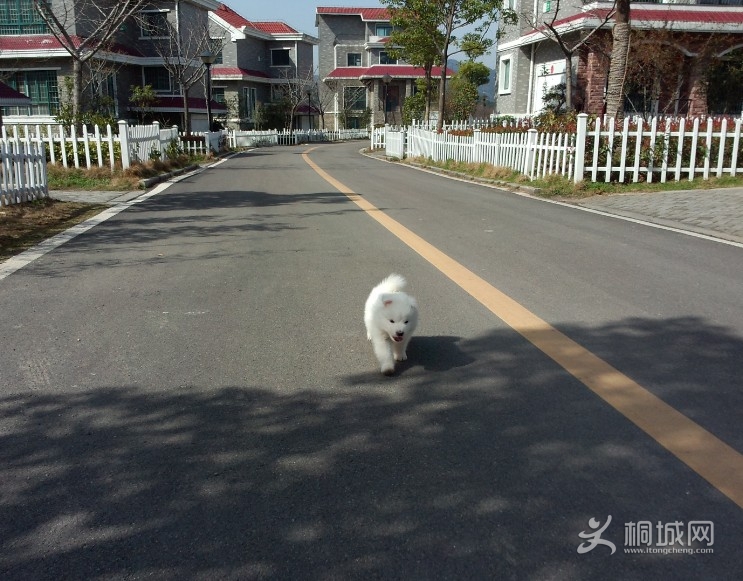 QQͼ20130316182917.jpg