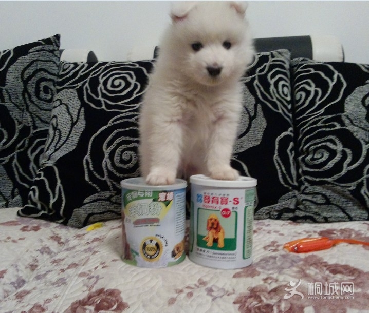QQͼ20130316182937.jpg