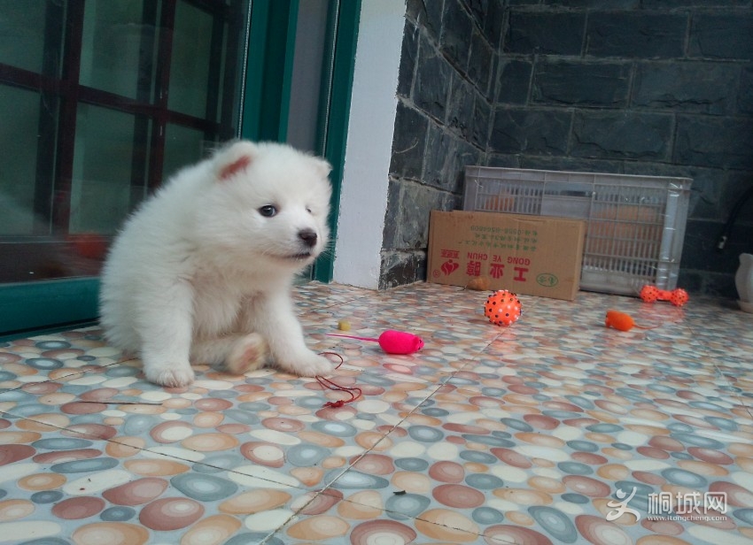 QQͼ20130316183032.jpg