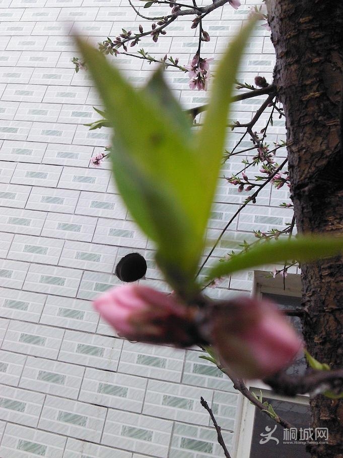 YP20130316131430.jpeg
