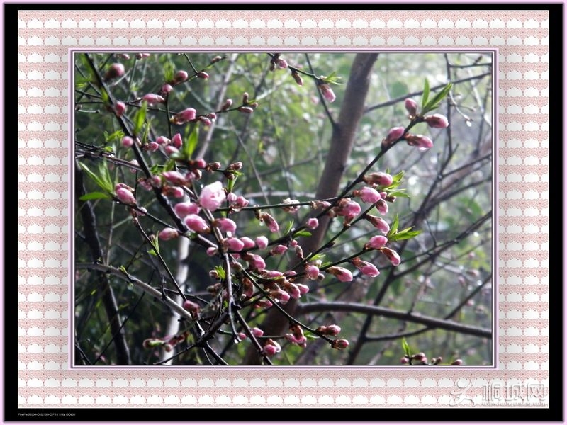 DSCF3840.JPG