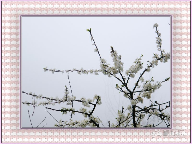 DSCF3835.JPG