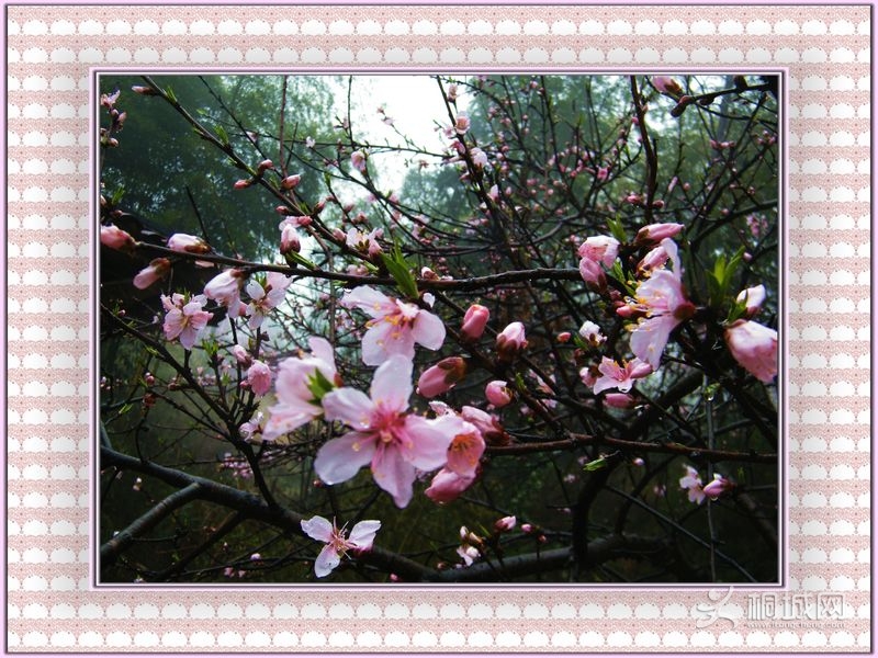 DSCF3843.JPG