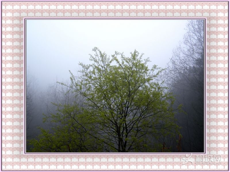 DSCF3849.JPG