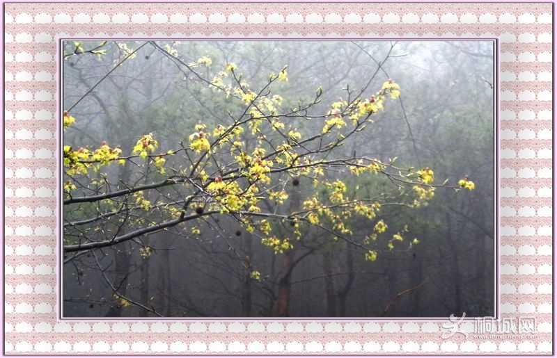 DSCF3853.JPG