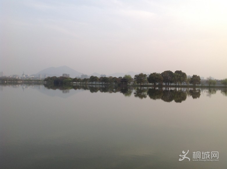 IMG_0124_conew1.jpg