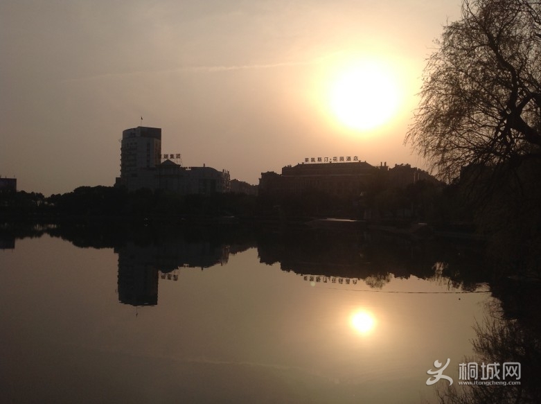 IMG_0125_conew1.jpg
