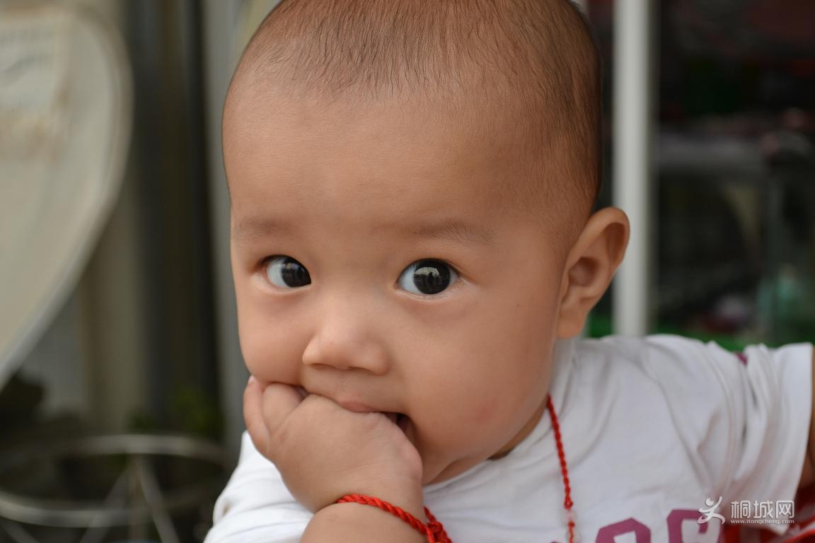 DSC_0687.JPG