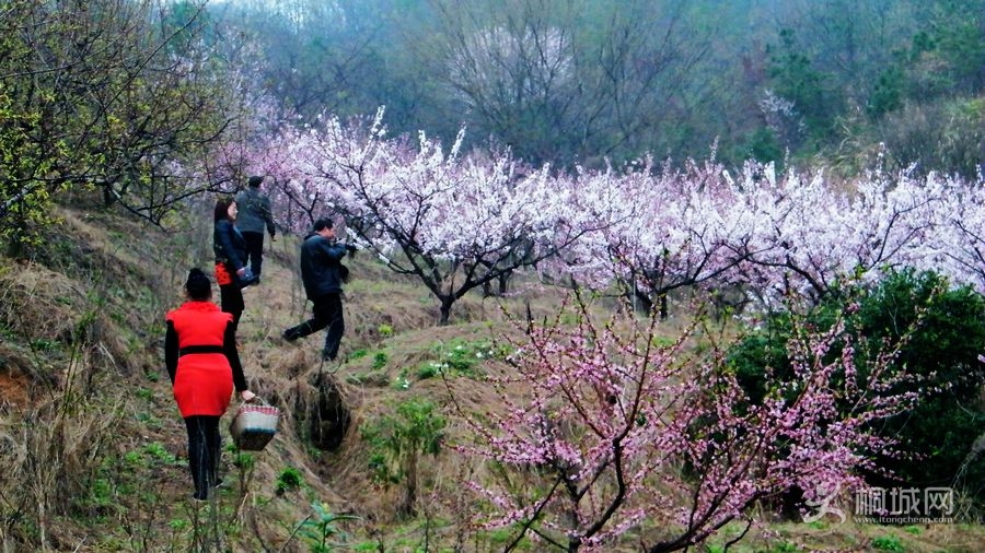 DSCF7252.jpg