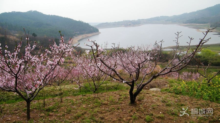 DSCF7163.jpg