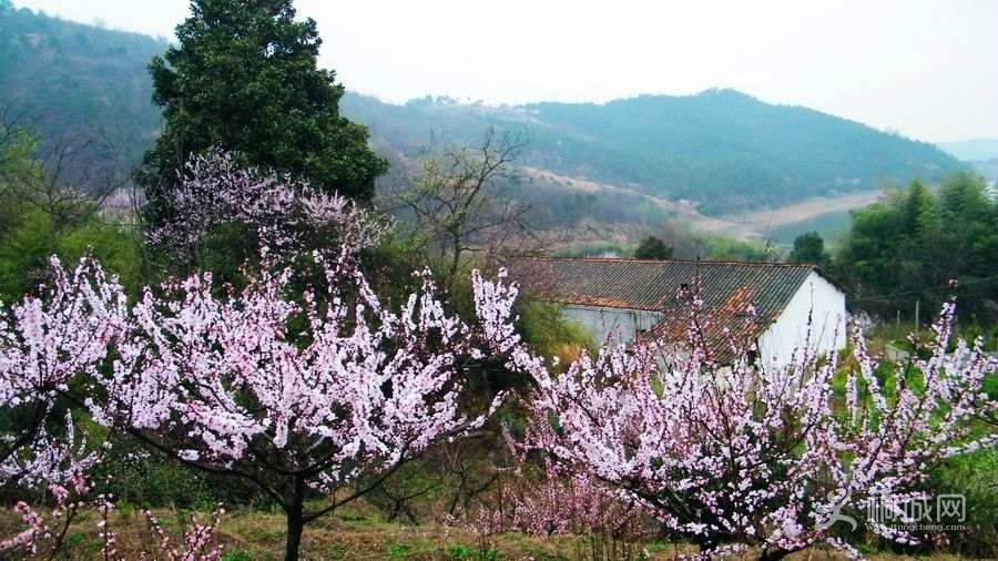DSCF7255.jpg