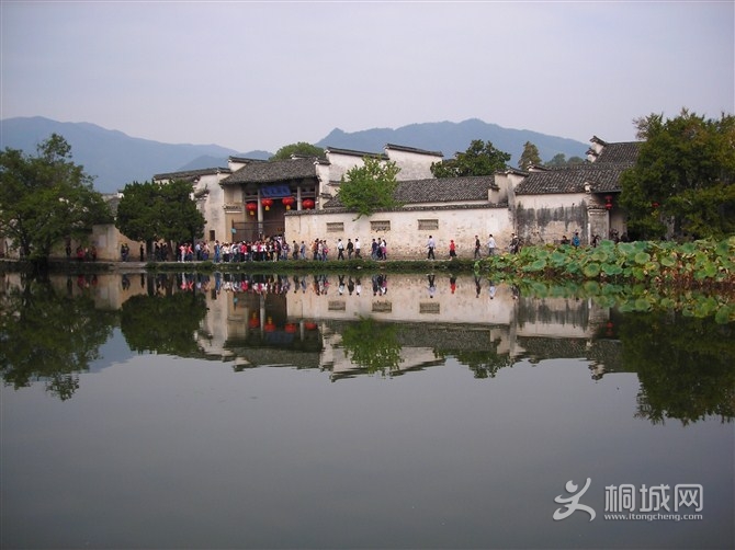 ͩ-羰续ĺӡ