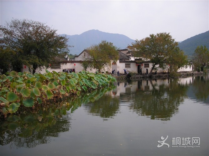 ͩ-羰续ĺӡ