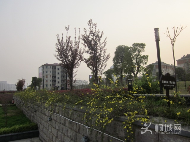 IMG_2519.jpg