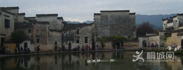 S8001272-1.jpg