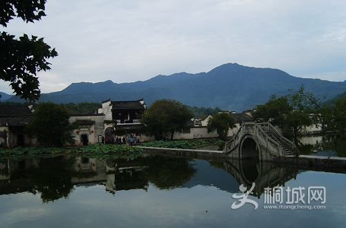S8001315.jpg