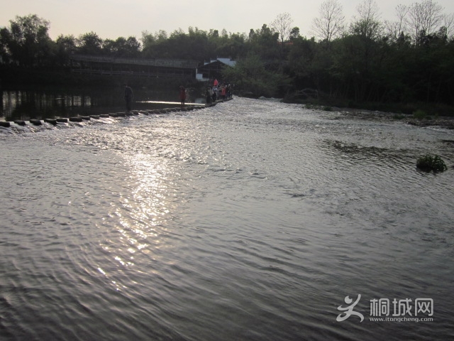 IMG_2731.jpg