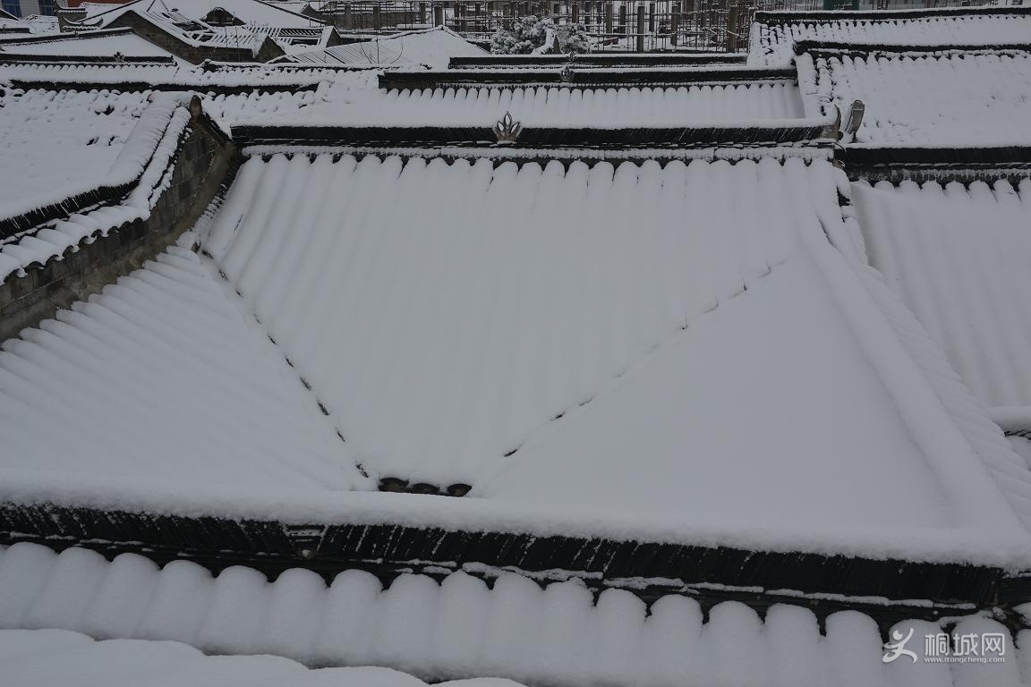 DSC_0047.JPG